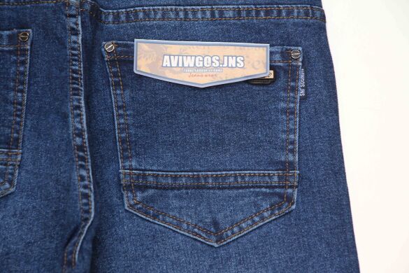 Мужские Джинсы AWIVGOSS L9111 (32/38 -8 ед.)