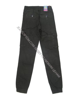 Мужские Брюки На резинке AWIVGOSS L8620-1 (29/38 -8 ед.)