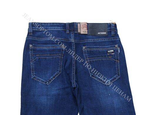 Мужские Джинсы AWIVGOSS L8590 (32/42 -8 ед.)